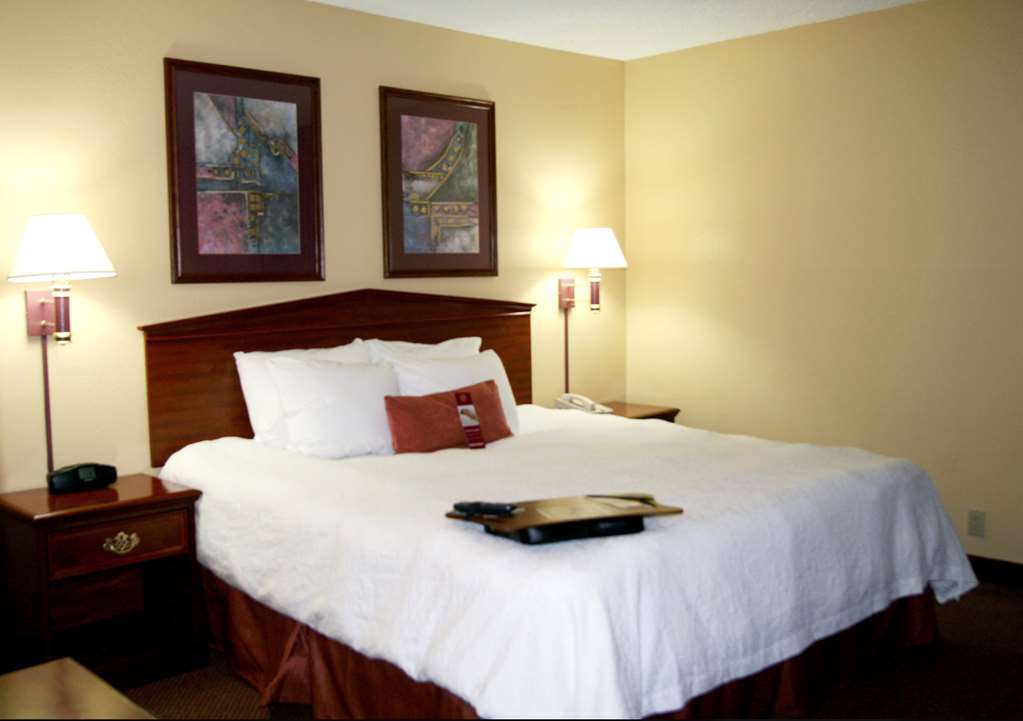 Hampton Inn & Suites By Hilton In Hot Springs, Arkansas Pokój zdjęcie